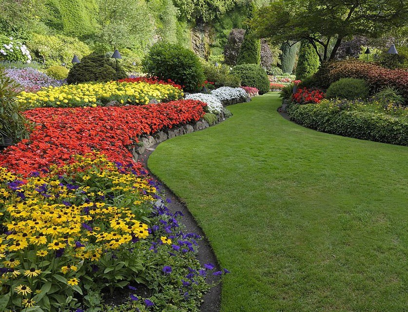 Jardín con borde curvo entre el pasto y las flores
